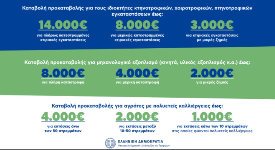 Λιβανός: Με αυτό το τρόπο θα αποζημιωθούν οι παραγωγοί- Η λίστα με τα μέτρα