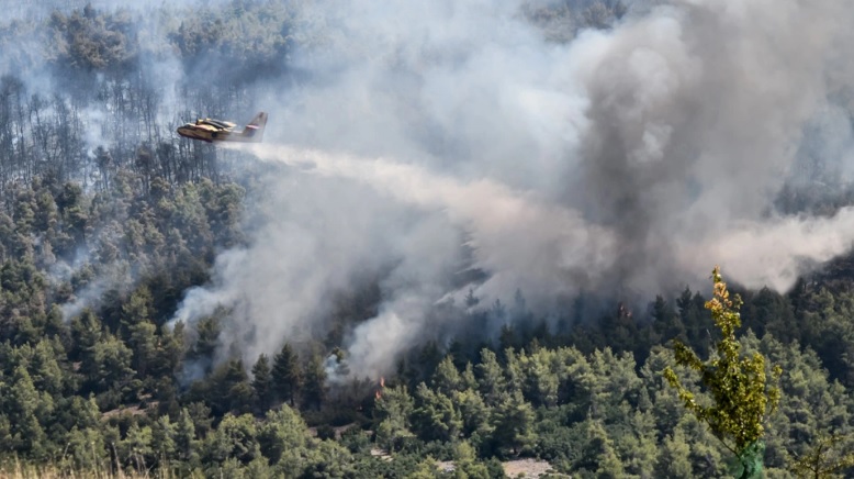 Πυρκαγιά: Δυσκολεύει η κατάσταση στα Βίλια - Φλόγες στο όρος Πατέρα